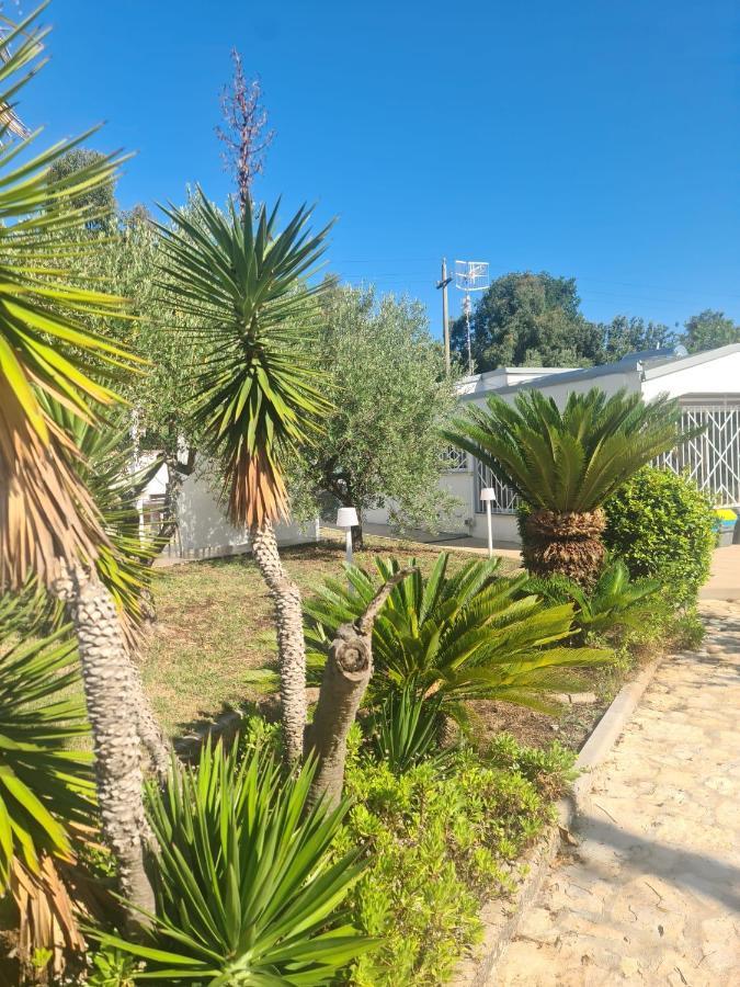 Holiday home Le Dune Di Circe Lido Di Fondi